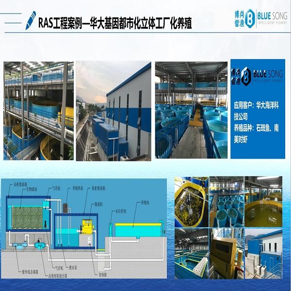 華大海洋都市立體工廠化RAS工程